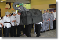 Un &eacute;l&eacute;phant dans le stage
